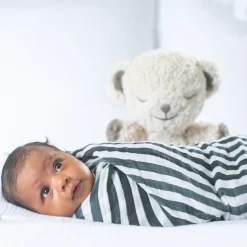 100% Organic Swaddle Blanket