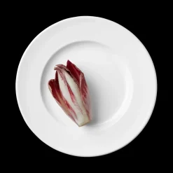 1508 Salad/Dessert Plate, Set of 4