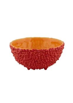 Amazonia Bowl 6