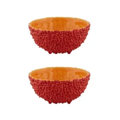 Amazonia Bowl 6