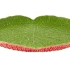 Amazonia Centrepiece