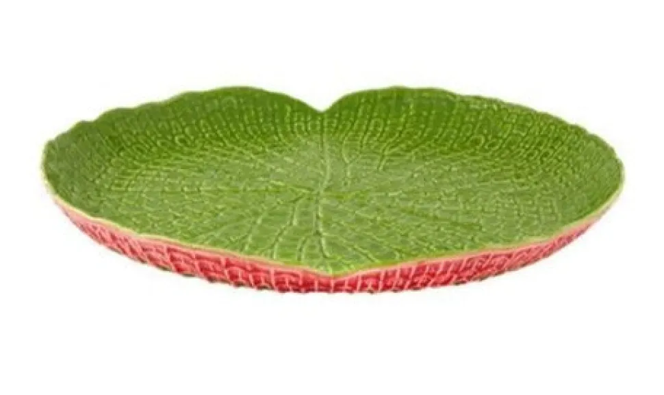 Amazonia Centrepiece