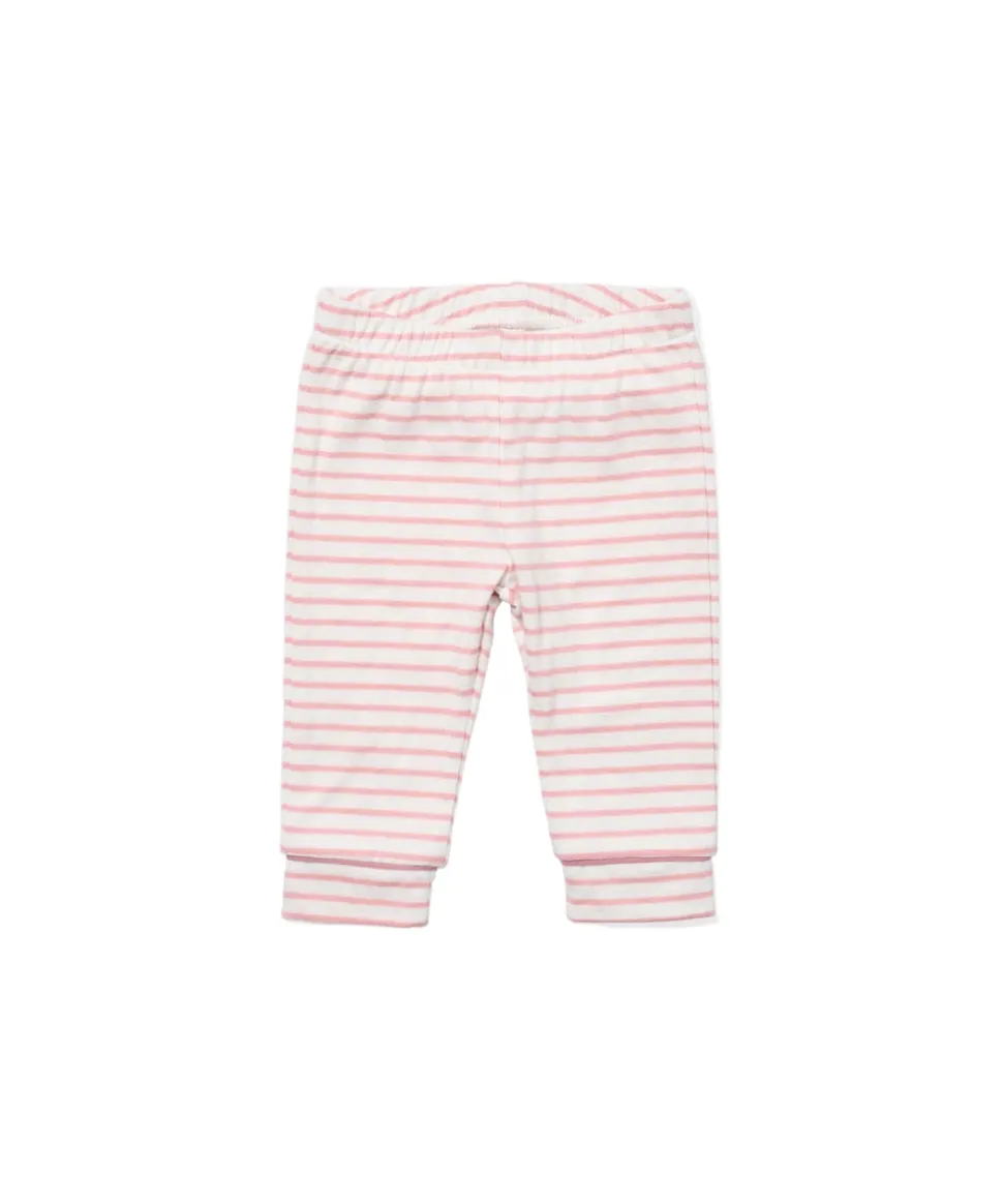 Andy Baby Legging in Dusty Rose Mini Stripe