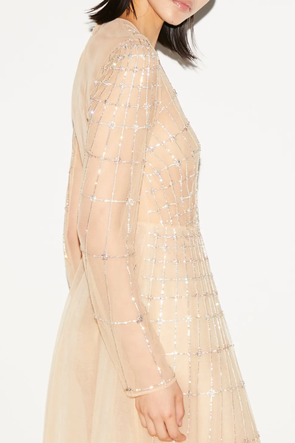 Anissa Gown Nude Embellished Tulle