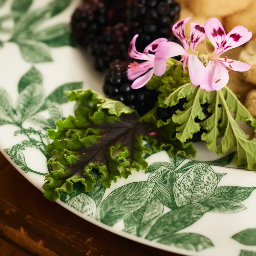 Arbor Green Dinner Plate