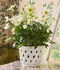 Aria Small Cachepot