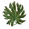 Arte Bordallo Chestnut Tree Leaf