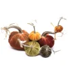 Autumn Leaves 015