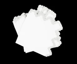 Aziza Napkin, Set of 4