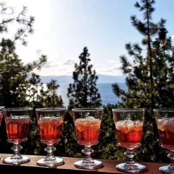 Bee Wine Glass in Clear, Set of 6