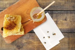 Bees Napkin