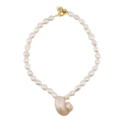 Big Shell Necklace