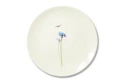 Bloom Centaurea Cyanus Plate