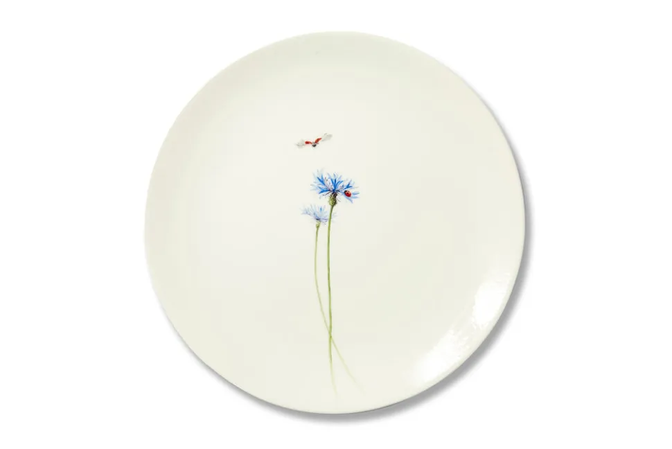 Bloom Centaurea Cyanus Plate