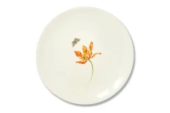 Bloom Tulipae Variae Plate