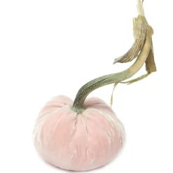 Blush Silk Velvet Pumpkin