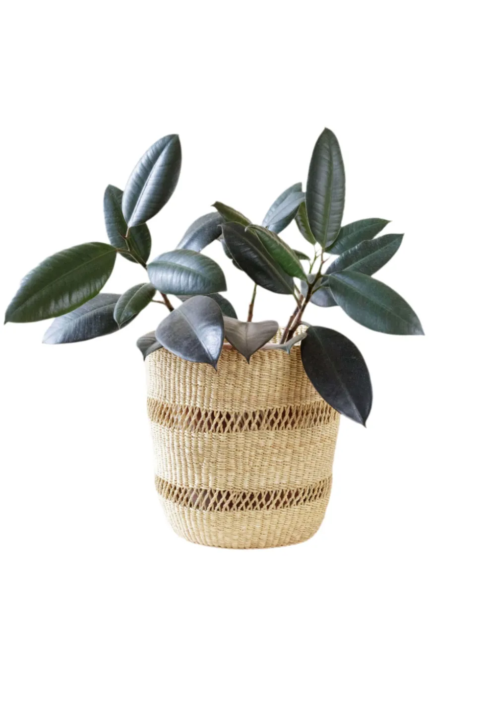 Bolga Planter