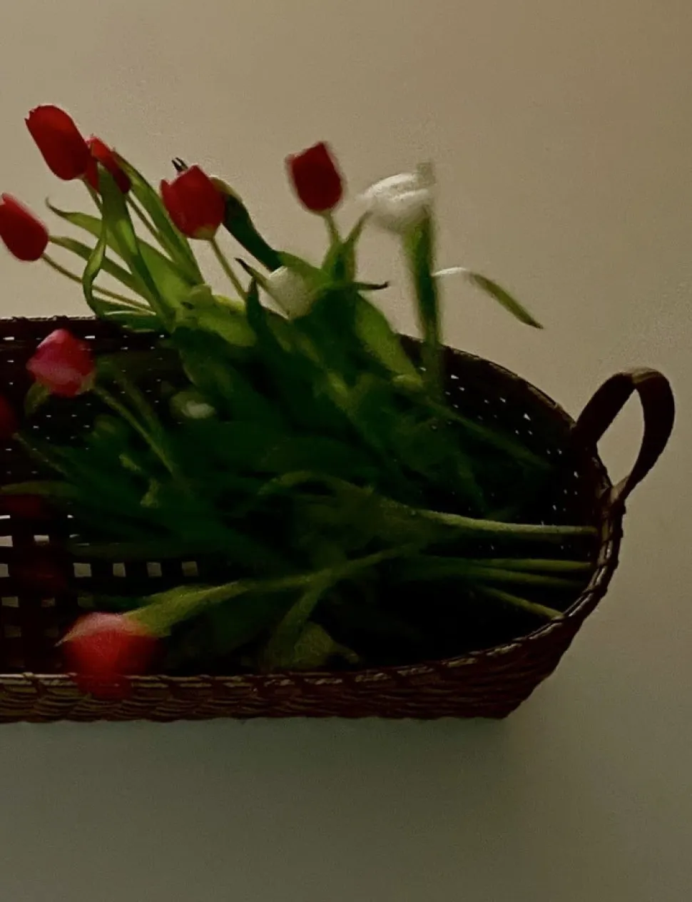 Bounty Basket, Long