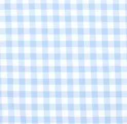 Boy's Oasis Blue Gingham Boardie