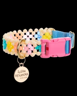 Broadway Dog Collar