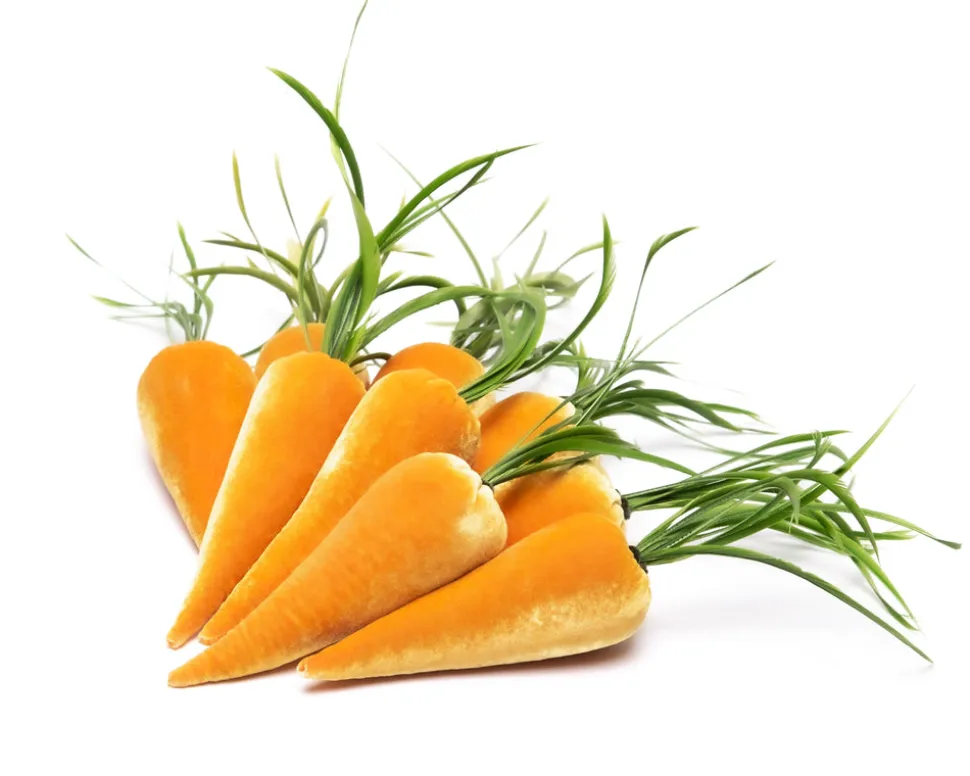 Bushel of Carrots