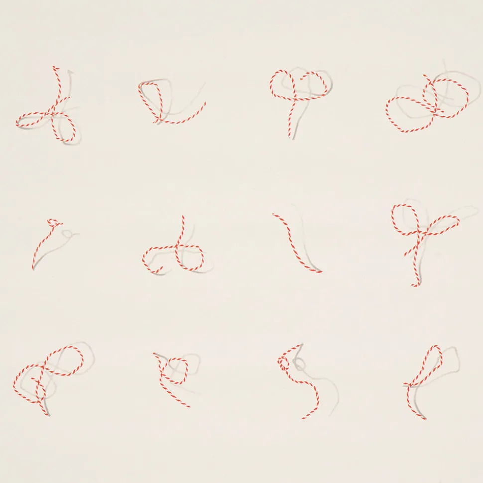 Butcher String Wallpaper in Red & White