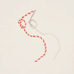 Butcher String Wallpaper in Red & White
