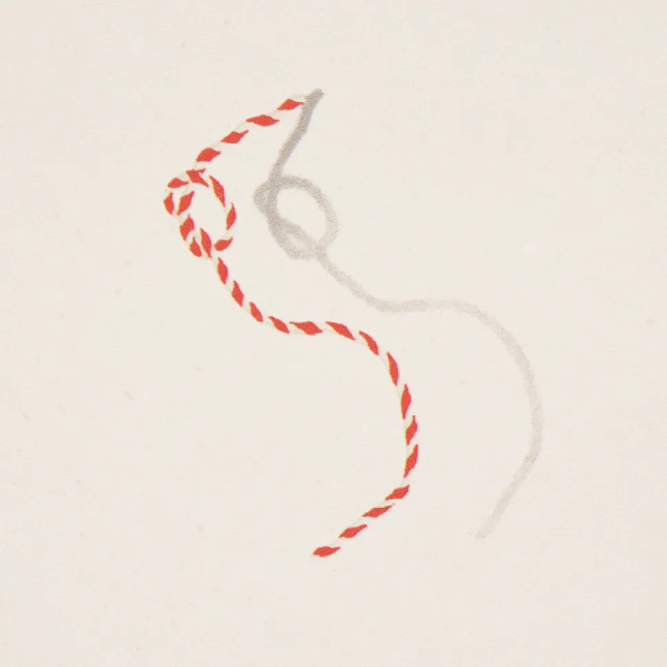 Butcher String Wallpaper in Red & White