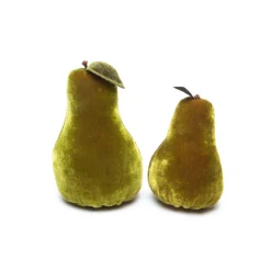 Cactus Pear