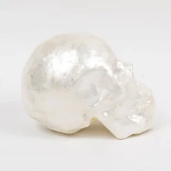 Capiz Skull in Pearl