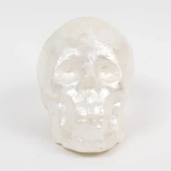 Capiz Skull in Pearl