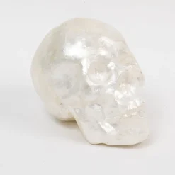 Capiz Skull in Pearl