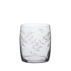 Carafe Glasses with Fern Design, Set of Four
