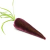 Carrot in Eggplant