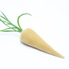 Carrot in Husk