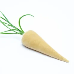 Carrot in Husk