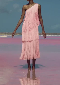Cascada Dress In Pink