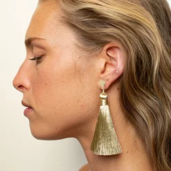 Champagne Shimmers