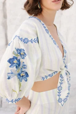 Chicory Set
