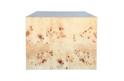 Chloe Burl Coffee Table