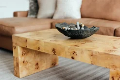 Chloe Burl Coffee Table