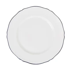 Corona Charger Plate