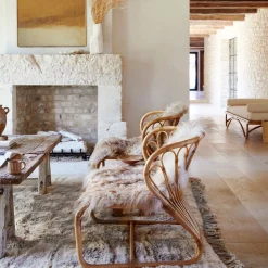 Coste Rattan Lounge Chair