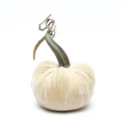 Cream Silk Velvet Pumpkin
