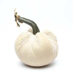 Cream Silk Velvet Pumpkin