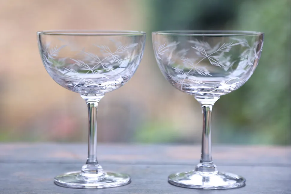 Crystal Champagne Saucers with Fern Design
