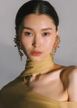 Darianna Earrings in Multi