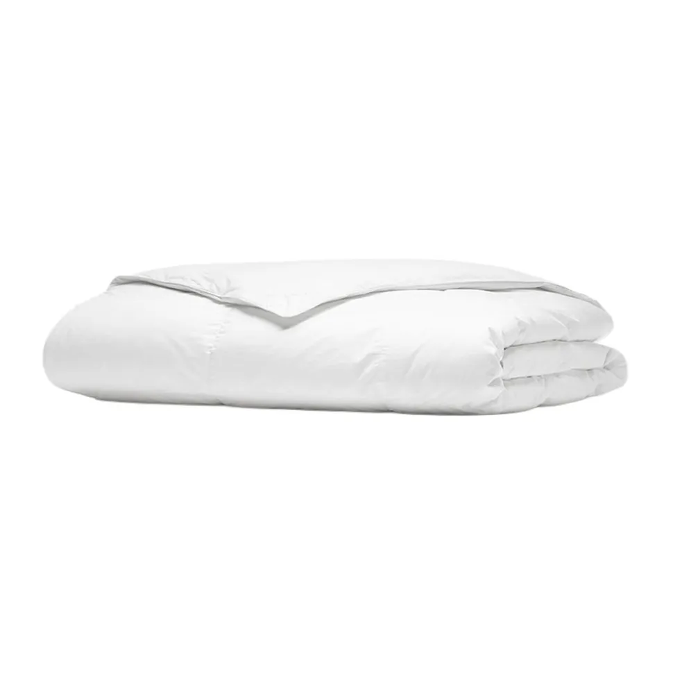 Down Duvet Insert
