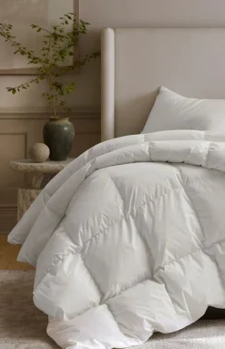 Down Duvet Insert
