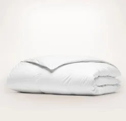 Down Duvet Insert